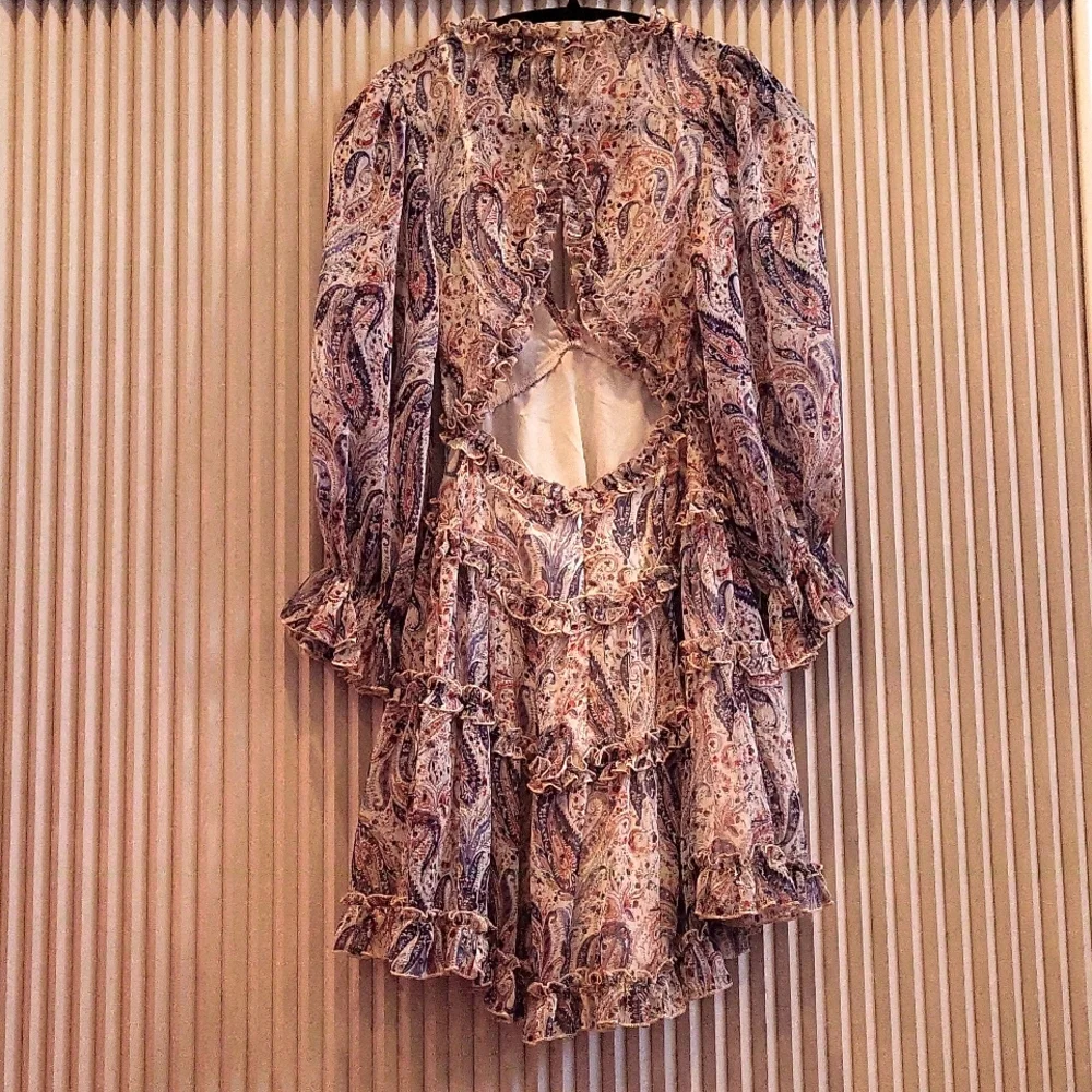 Princess Polly Paisley Ruffle Dress - Picture 4 of 4